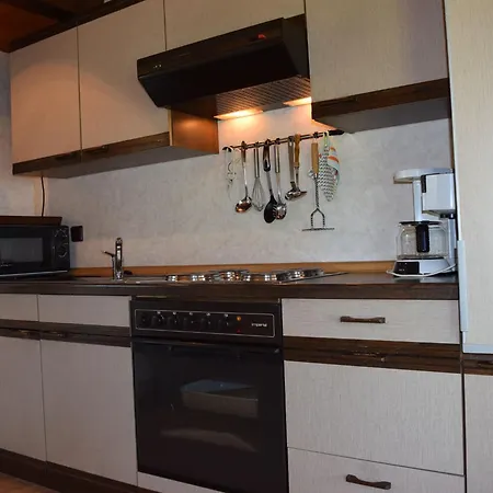 Tatil Evi Detached, Tidy On Katzenbuckel Mountain