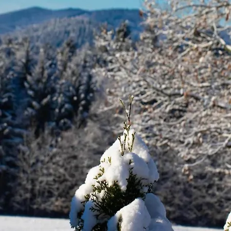 Detached, Tidy On Katzenbuckel Mountain Tatil Evi *