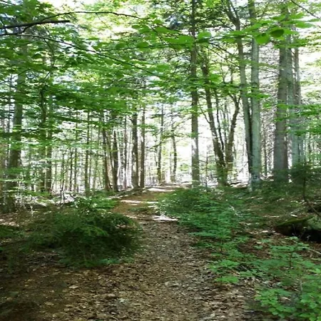 Detached, Tidy On Katzenbuckel Mountain * Waldbrunn (Baden-Wurttemberg)